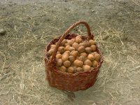 Panier de noix